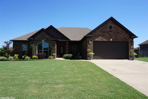 92 Hudson Branch Dr, Austin, AR 72007 photo 1