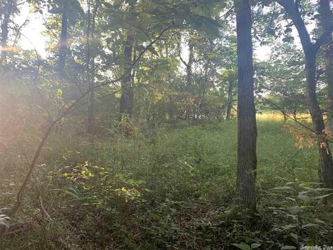 tbd Old Hwy 5, Benton, AR 72015 photo 6