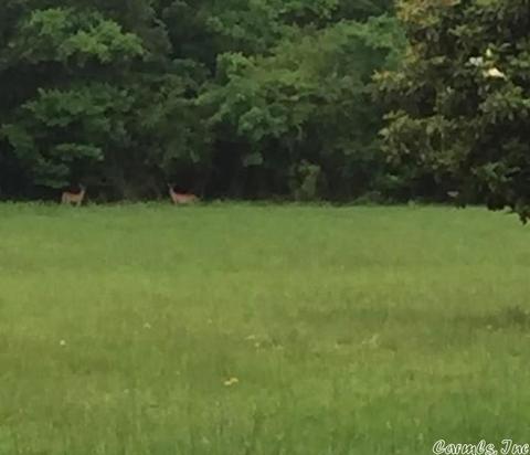 tbd Old Hwy 5, Benton, AR 72015 photo 1
