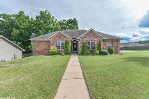 13901 Chrys Cv, Alexander, AR 72002 photo 2