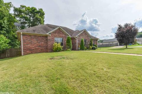 13901 Chrys Cv, Alexander, AR 72002 photo 1