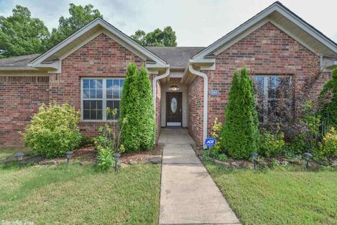 13901 Chrys Cv, Alexander, AR 72002 photo 4