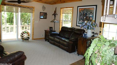 696 Petters, Mountain View, AR 72560 photo 20