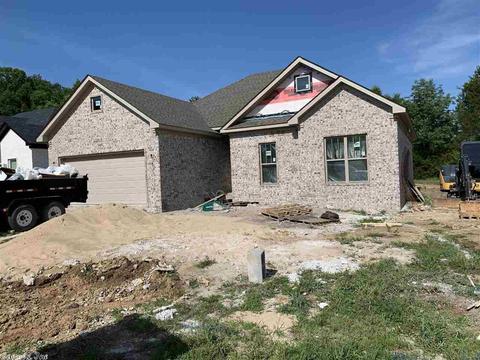 24 Clover Leaf Ln, Greenbrier, AR 72058 photo 1