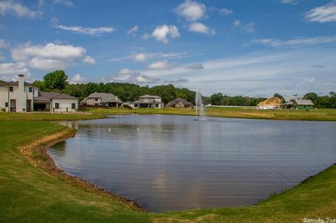 6809 Hilo Ave, Benton, AR 72019 photo 15