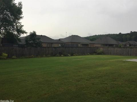 1730 Josh Dr, Conway, AR 72034 photo 21