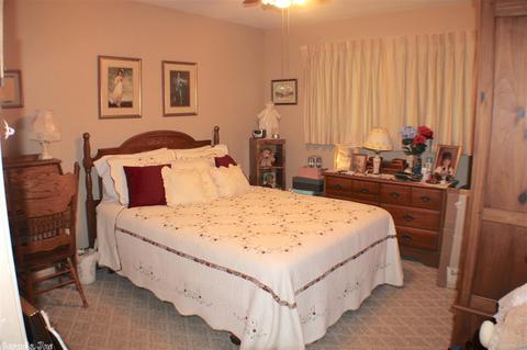 425 Crocket Rd, Greers Ferry, AR 72067 photo 23
