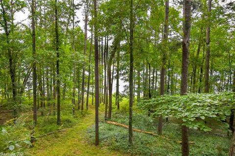 374 Valhalla Dr, Edgemont, AR 72044 photo 3
