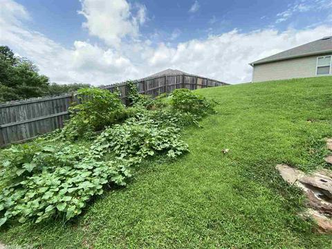 15187 Peak Loop, Alexander, AR 72002 photo 35