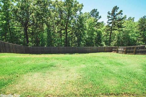 15187 Peak Loop, Alexander, AR 72002 photo 33