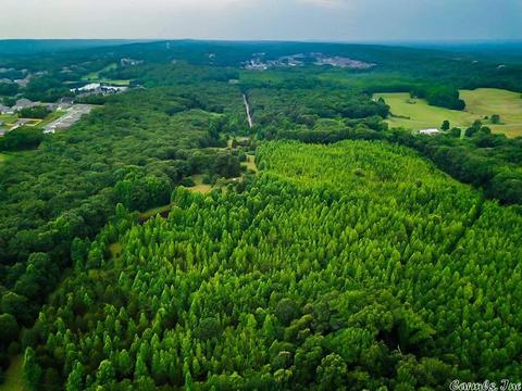 1240 Bailey, Austin, AR 72007 photo 3
