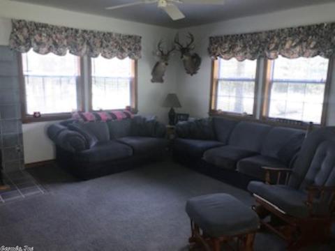 3604 Copperhead Rd, Viola, AR 72583 photo 10