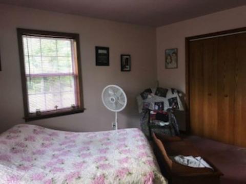 3604 Copperhead Rd, Viola, AR 72583 photo 17