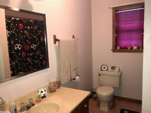 3604 Copperhead Rd, Viola, AR 72583 photo 19
