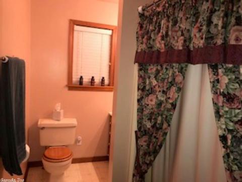 3604 Copperhead Rd, Viola, AR 72583 photo 13