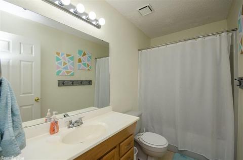 137 Sunny Gap Rd, Conway, AR 72032 photo 27