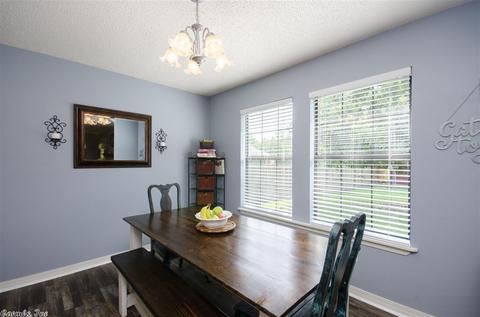 137 Sunny Gap Rd, Conway, AR 72032 photo 11