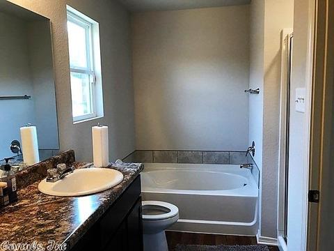 6072 Saddle Hill Dr, Alexander, AR 72002 photo 10