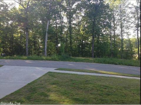 916 Caddo Dr, Benton, AR 72019 photo 10