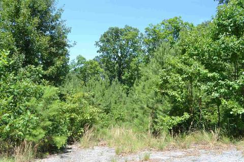 261 Peaceful View Ct, Mountain Pine, AR 71956 photo 5