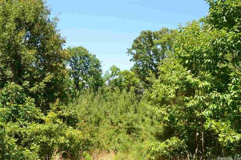 261 Peaceful View Ct, Mountain Pine, AR 71956 photo 4
