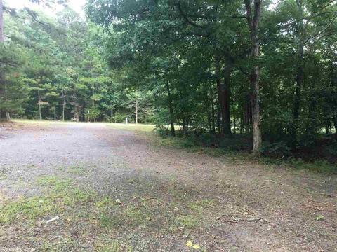 1085 Sunny Slope Rd, Edgemont, AR 72044 photo 3
