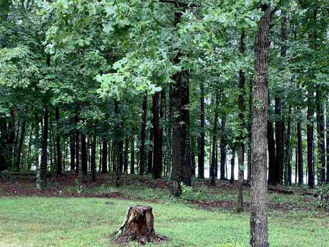 465 E Shores Dr, Drasco, AR 72530 photo 38