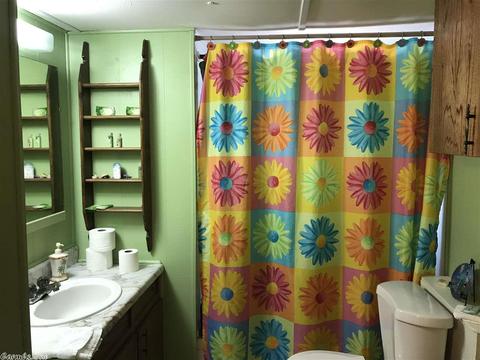 4 Debra Ln, Greers Ferry, AR 72067 photo 21