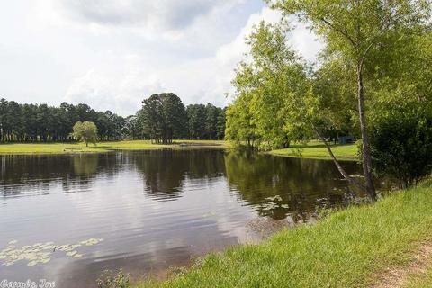 7041 Rolling Meadow Loop, Benton, AR 72015 photo 9