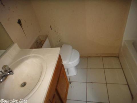 705 E Bayne Ave, Brinkley, AR 72021 photo 12