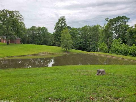 109 Mullen Dr, De Queen, AR 71832 photo 35