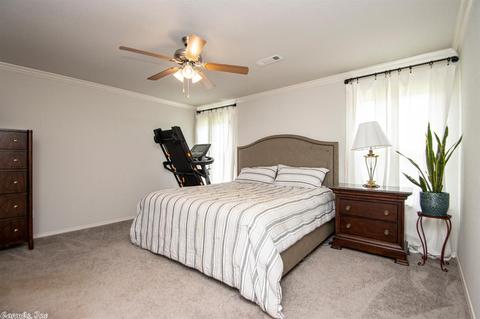 6356 Lena Dr, Alexander, AR 72002 photo 14