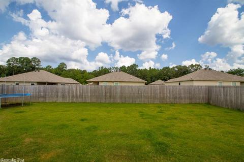 6356 Lena Dr, Alexander, AR 72002 photo 29