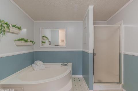 1185 Doyle Jones, Malvern, AR 72104 photo 34