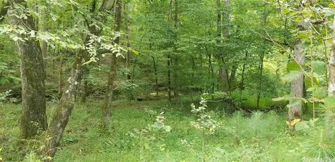 tbd Womble Silver Rd, Mount Ida, AR 71957 photo 24