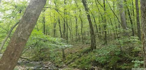 tbd Womble Silver Rd, Mount Ida, AR 71957 photo 16