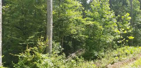 tbd Womble Silver Rd, Mount Ida, AR 71957 photo 2