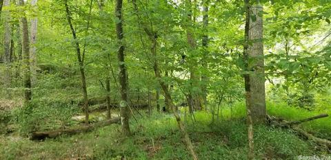 tbd Womble Silver Rd, Mount Ida, AR 71957 photo 22