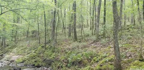 tbd Womble Silver Rd, Mount Ida, AR 71957 photo 8
