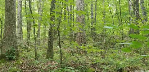 tbd Womble Silver Rd, Mount Ida, AR 71957 photo 7