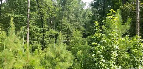 tbd Womble Silver Rd, Mount Ida, AR 71957 photo 3