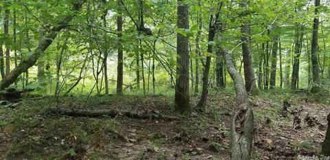tbd Womble Silver Rd, Mount Ida, AR 71957 photo 5