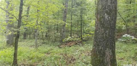 tbd Womble Silver Rd, Mount Ida, AR 71957 photo 23