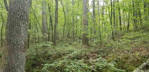 tbd Womble Silver Rd, Mount Ida, AR 71957 photo 17