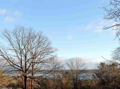 66 Whitewood Cir, Edgemont, AR 72044 photo 5