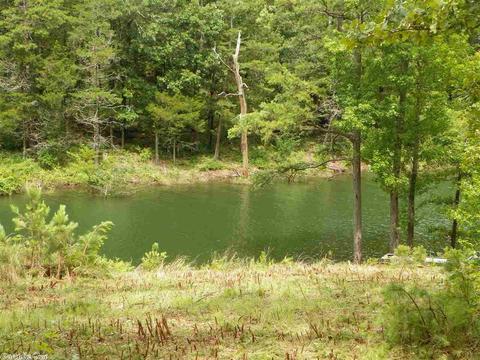 470 Kinderhook Rd, Edgemont, AR 72044 photo 17