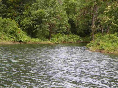 470 Kinderhook Rd, Edgemont, AR 72044 photo 3