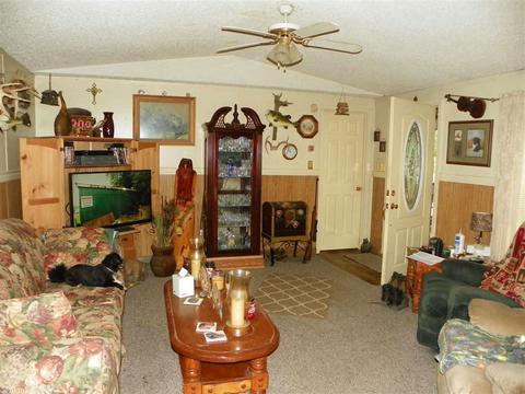 470 Kinderhook Rd, Edgemont, AR 72044 photo 9