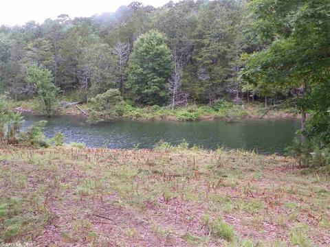 470 Kinderhook Rd, Edgemont, AR 72044 photo 22