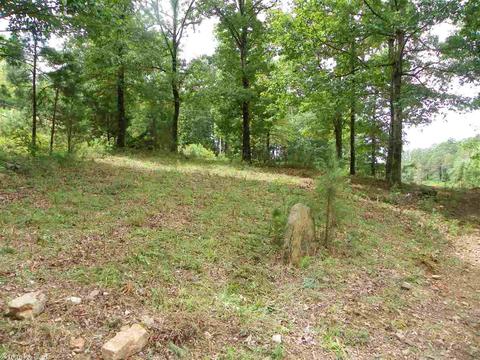 470 Kinderhook Rd, Edgemont, AR 72044 photo 23